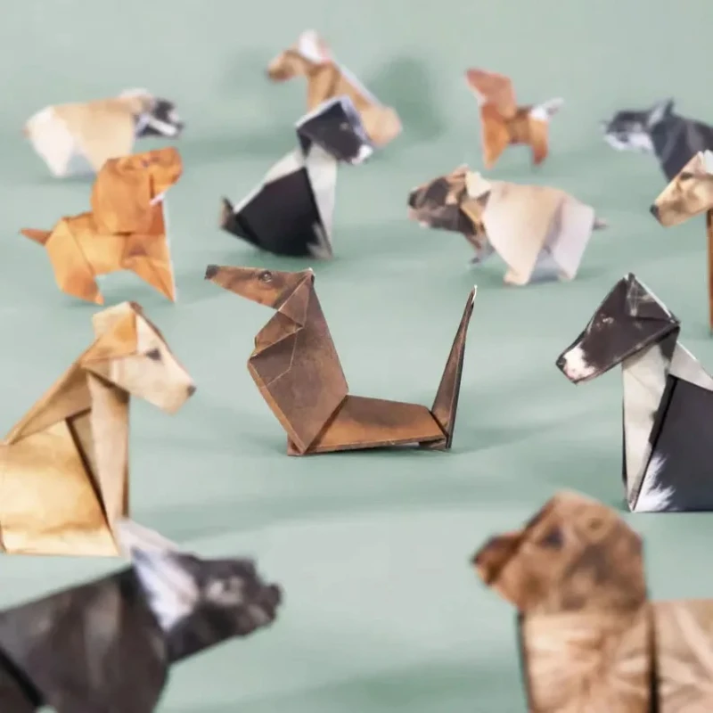 Creative DIY Origami Paper Set - огляд і ціна Art Craft Dinosaurs