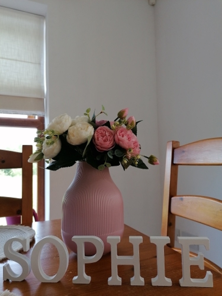 1pc 8CM White Wooden Letter En - огляд і ціна Art Craft Names