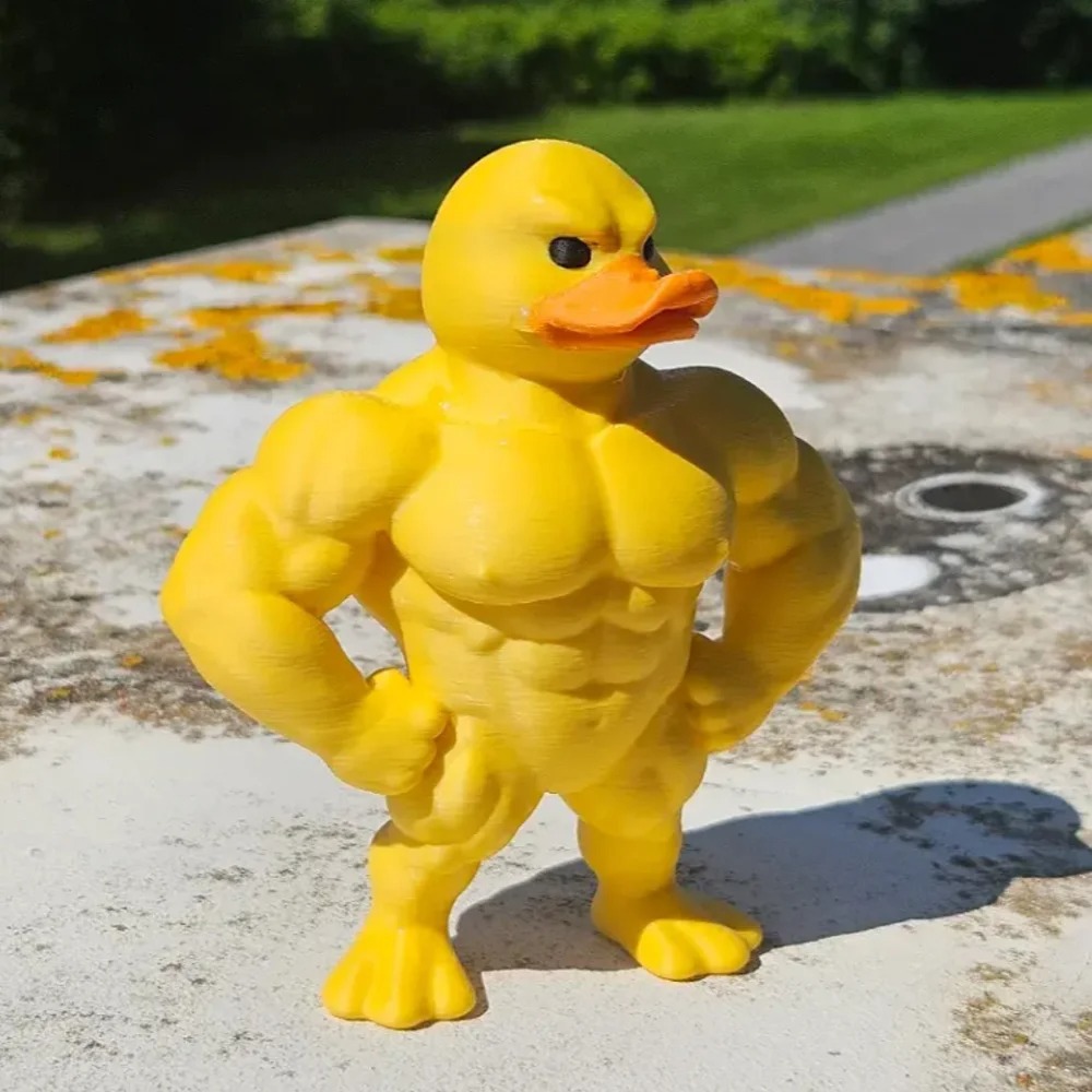Muscle Duck Statue -3D Desktop - огляд і ціна Art Craft Duck